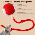 pelota interactiva con cuerda para mascotas