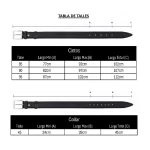 alpha thor set collar correa cinto